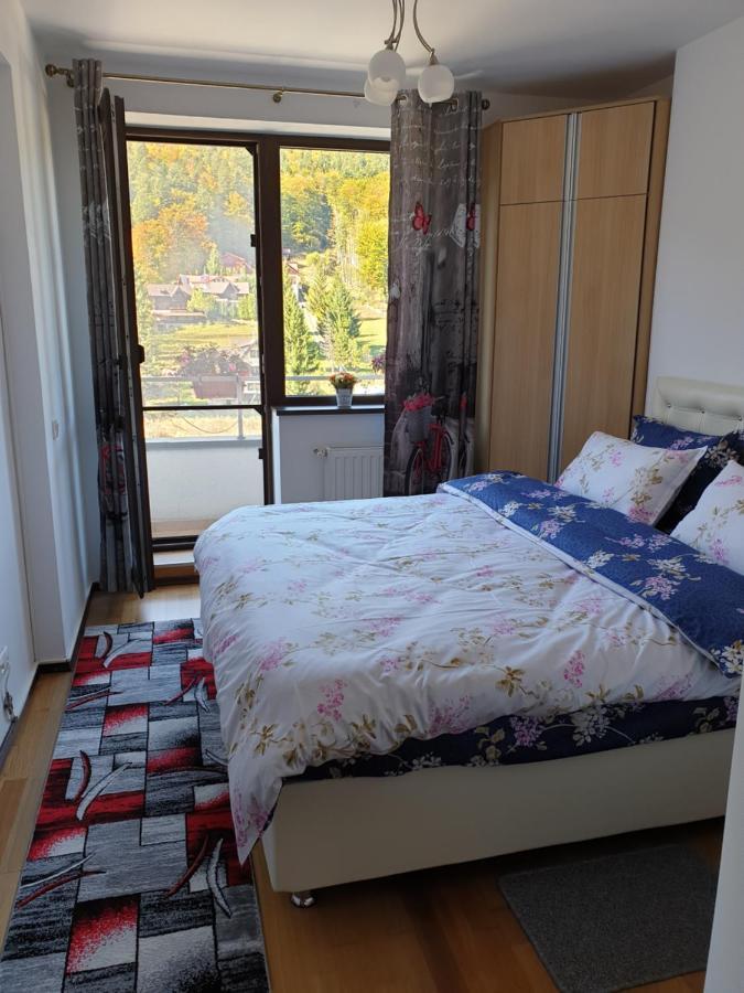 Sophie Apartament Apartment Sinaia Bagian luar foto