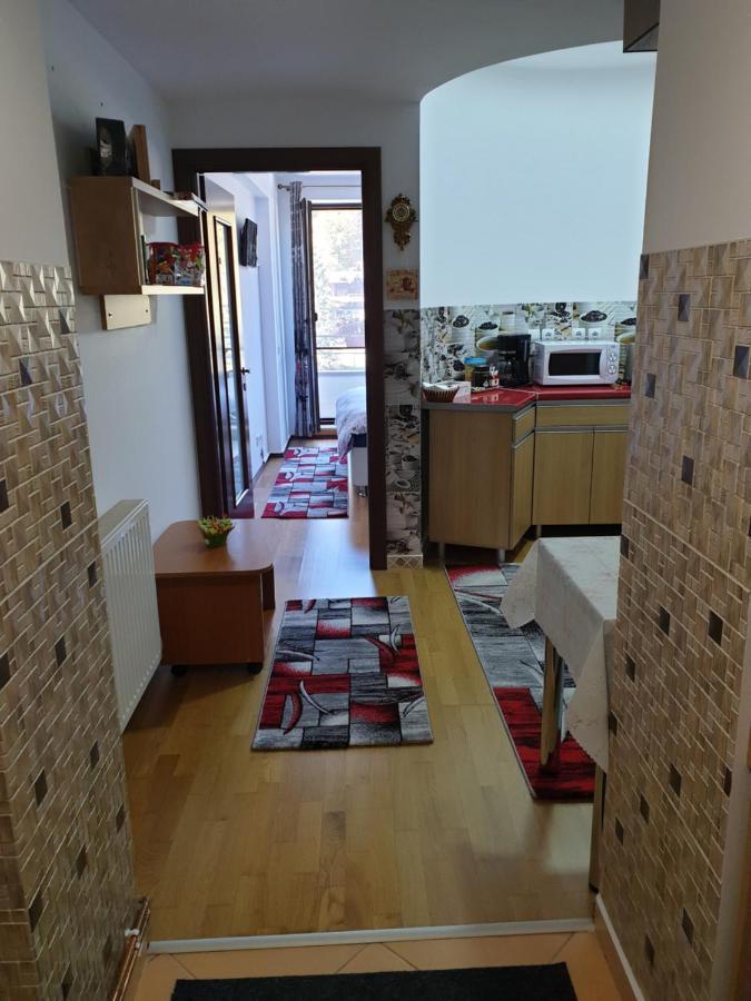 Sophie Apartament Apartment Sinaia Bagian luar foto