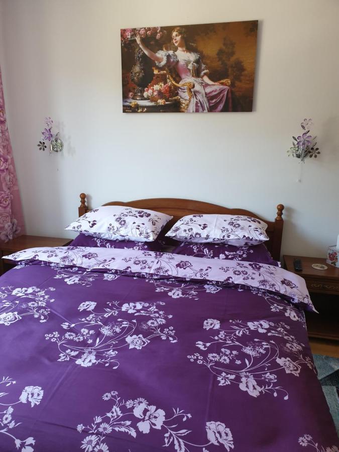 Sophie Apartament Apartment Sinaia Bagian luar foto