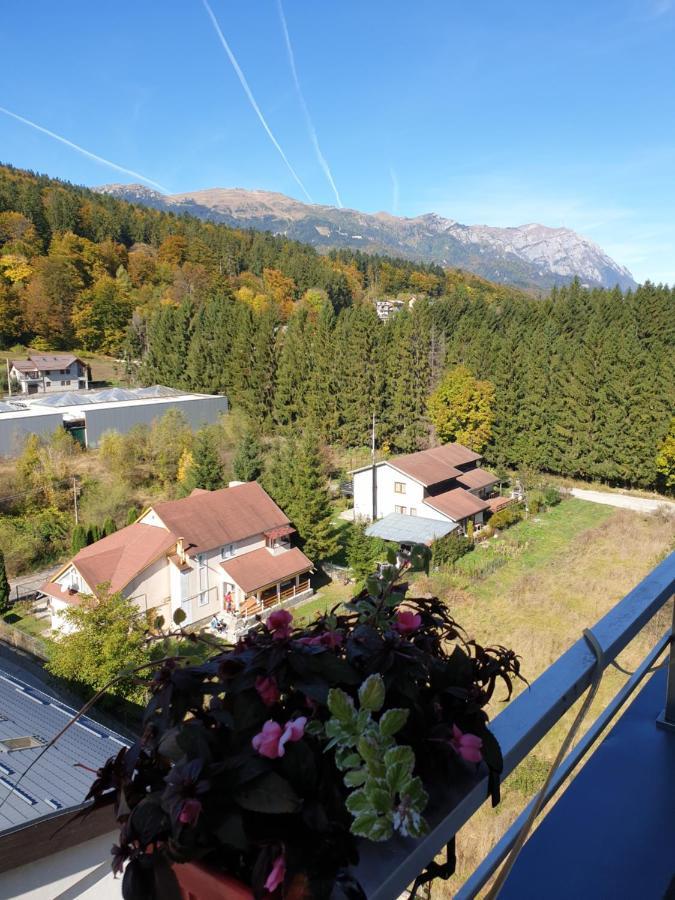 Sophie Apartament Apartment Sinaia Bagian luar foto