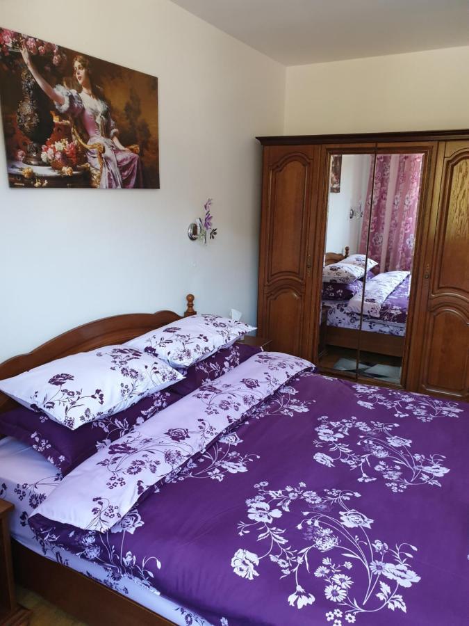 Sophie Apartament Apartment Sinaia Bagian luar foto