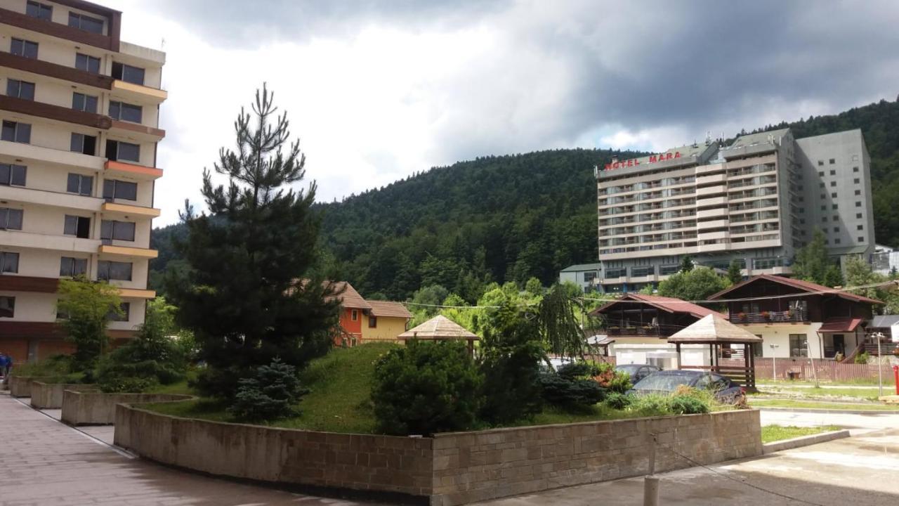 Sophie Apartament Apartment Sinaia Bagian luar foto