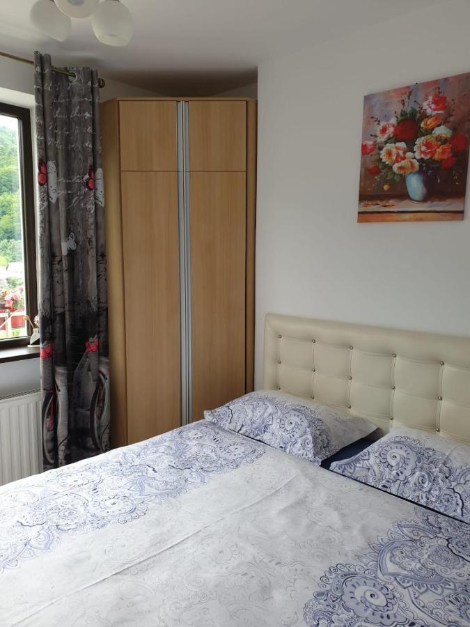 Sophie Apartament Apartment Sinaia Bagian luar foto