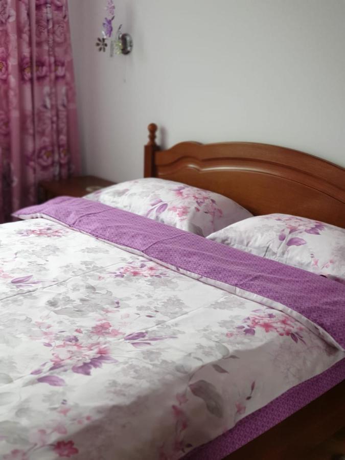 Sophie Apartament Apartment Sinaia Bagian luar foto