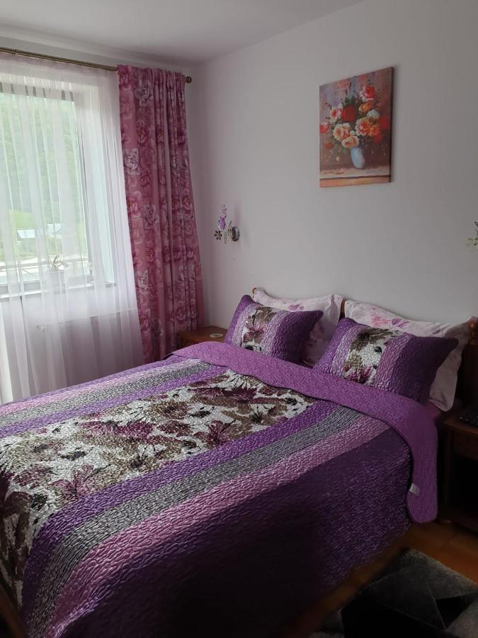 Sophie Apartament Apartment Sinaia Bagian luar foto