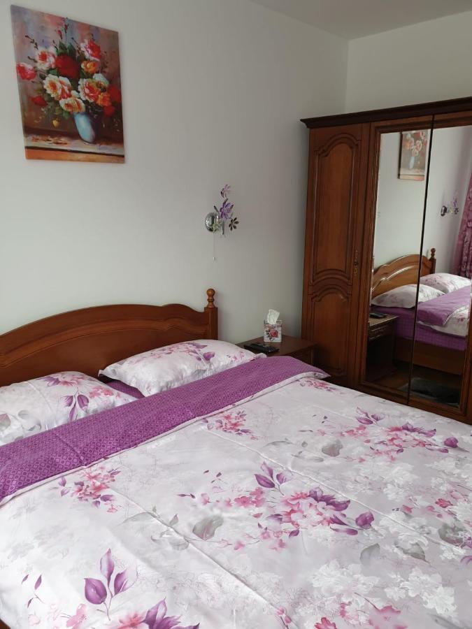 Sophie Apartament Apartment Sinaia Bagian luar foto