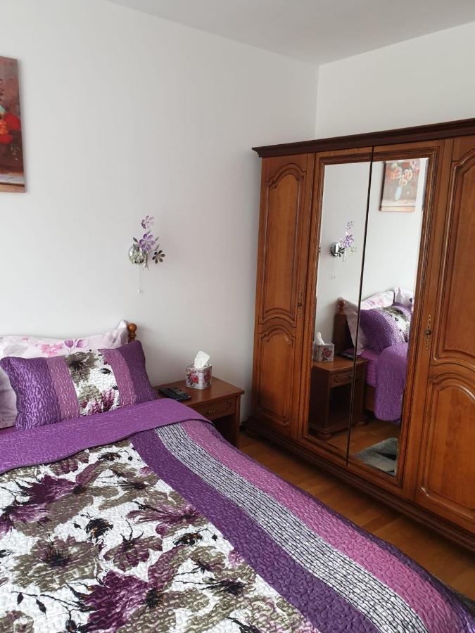 Sophie Apartament Apartment Sinaia Bagian luar foto