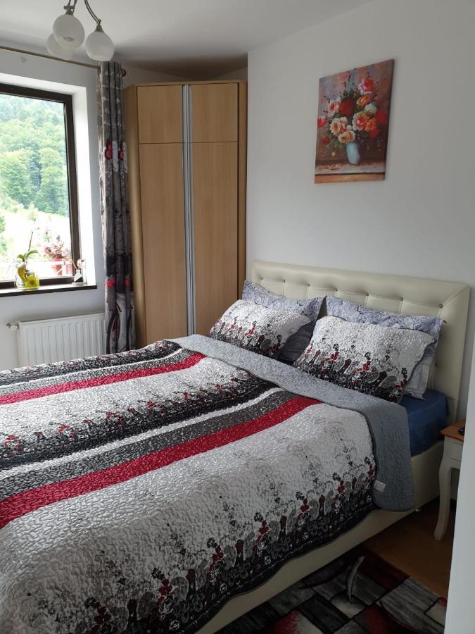 Sophie Apartament Apartment Sinaia Bagian luar foto