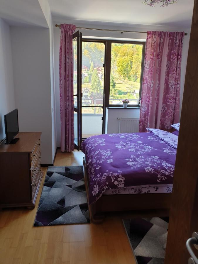 Sophie Apartament Apartment Sinaia Bagian luar foto