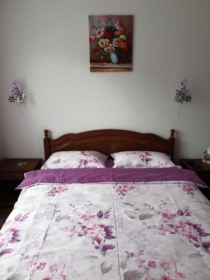 Sophie Apartament Apartment Sinaia Bagian luar foto