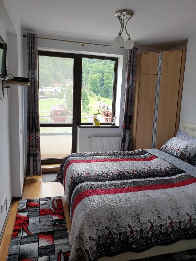 Sophie Apartament Apartment Sinaia Bagian luar foto