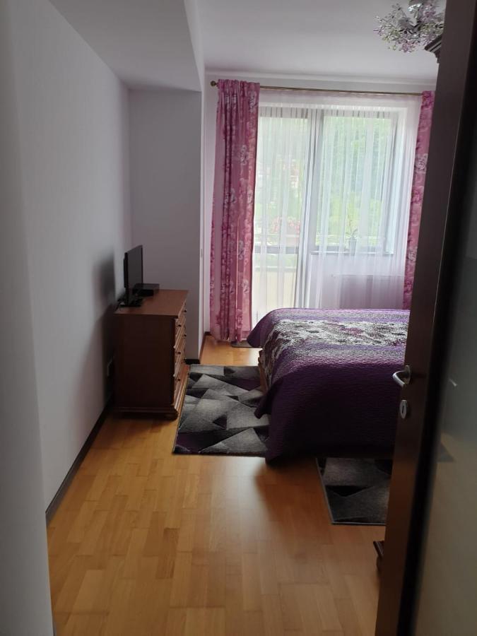 Sophie Apartament Apartment Sinaia Bagian luar foto