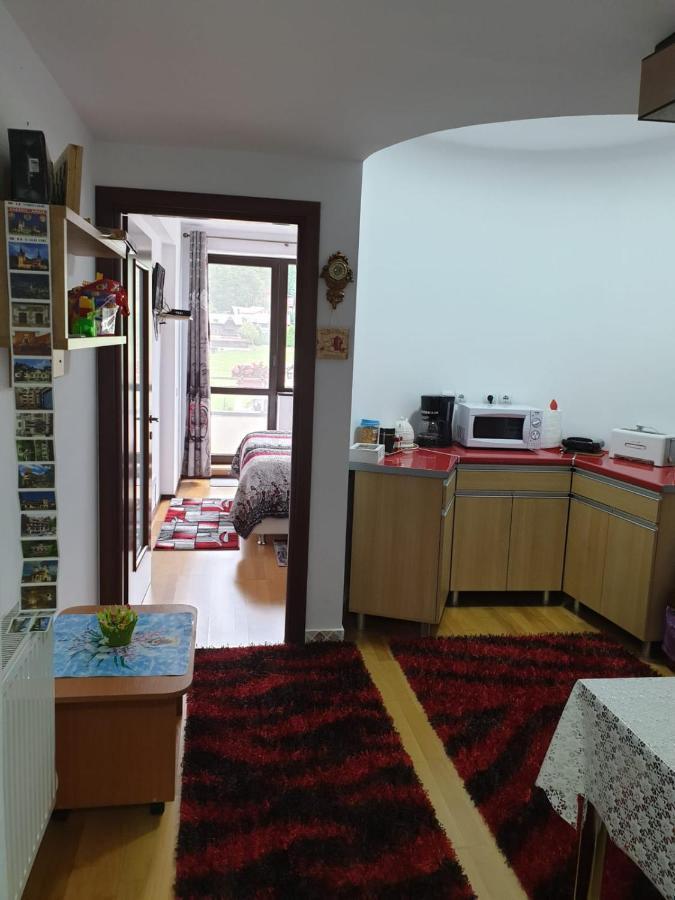 Sophie Apartament Apartment Sinaia Bagian luar foto