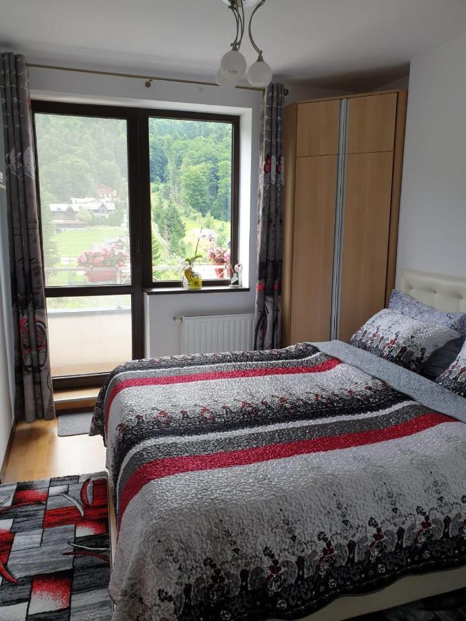 Sophie Apartament Apartment Sinaia Bagian luar foto
