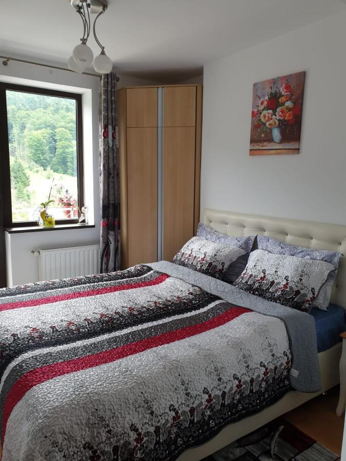 Sophie Apartament Apartment Sinaia Bagian luar foto