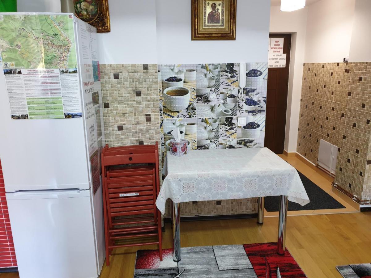 Sophie Apartament Apartment Sinaia Bagian luar foto