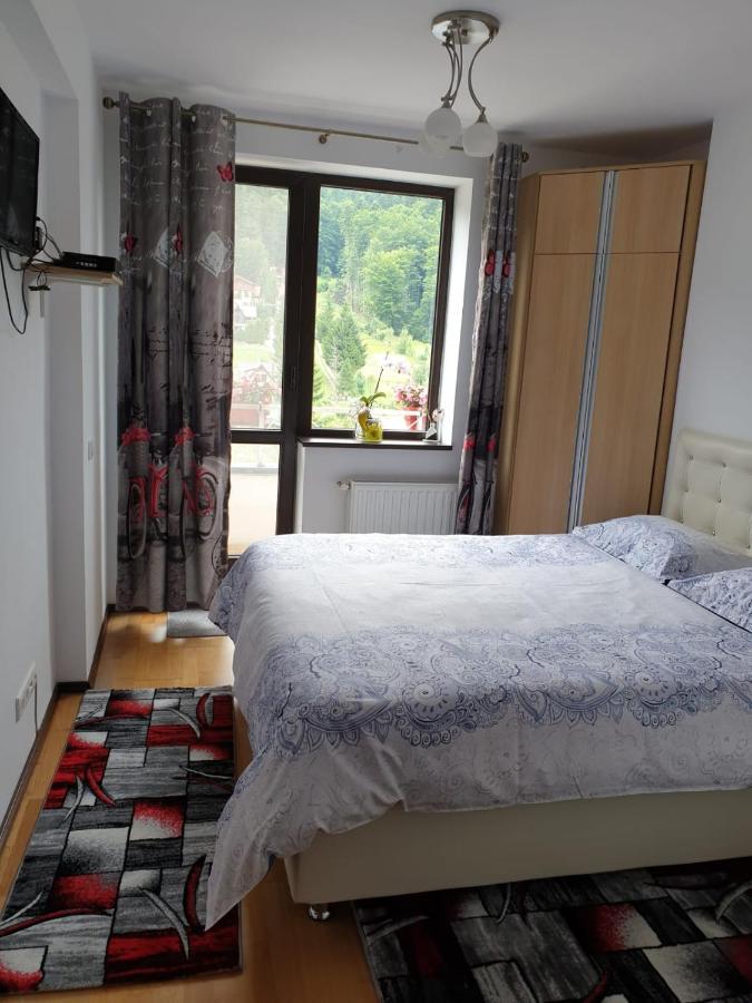 Sophie Apartament Apartment Sinaia Bagian luar foto