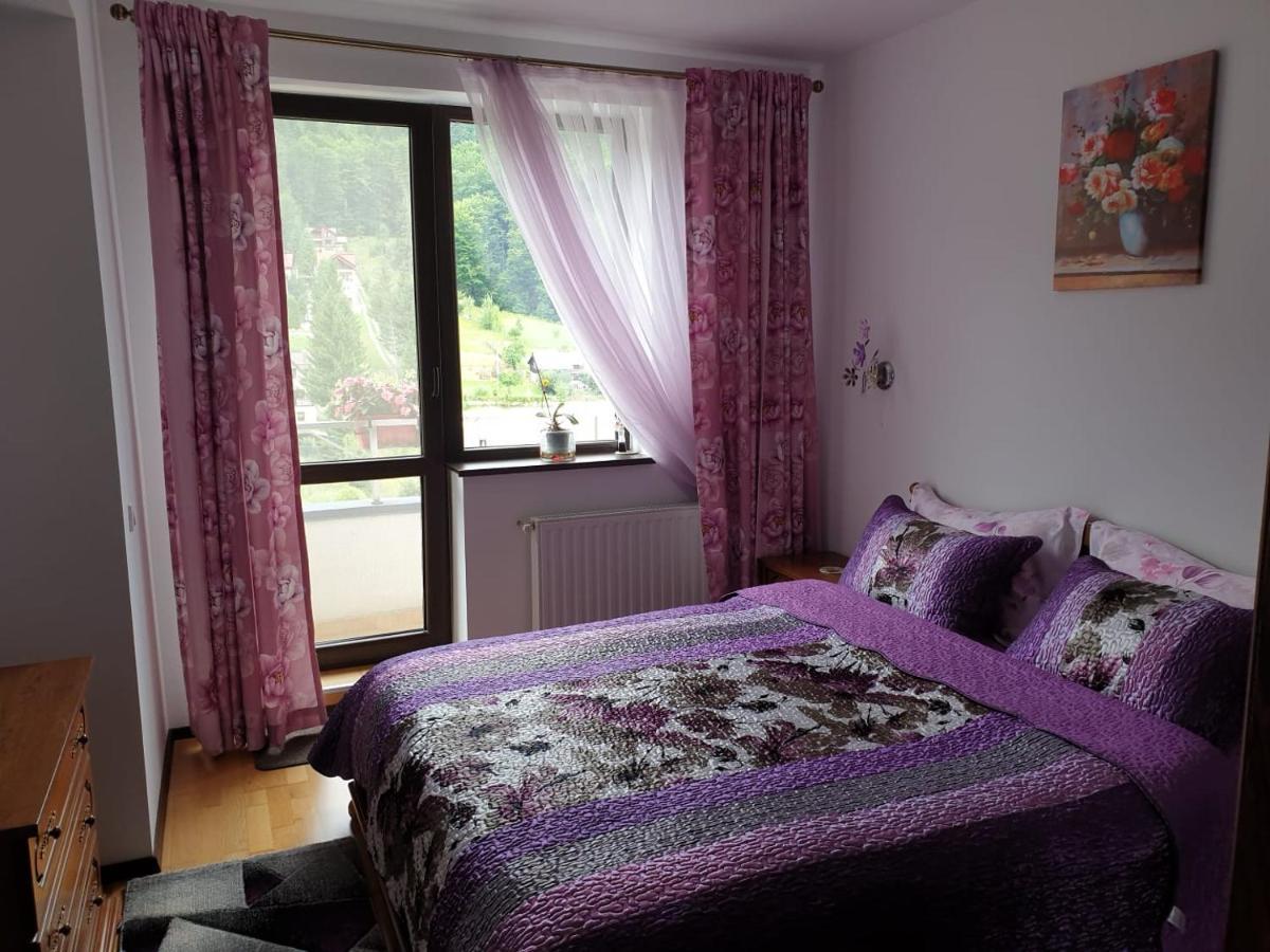 Sophie Apartament Apartment Sinaia Bagian luar foto
